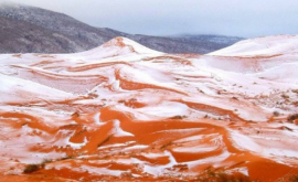 В крупнейшей пустыне Сахара выпал снег ФОТО