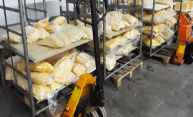 Полиция конфисковала более 500 кг просроченного сыра
