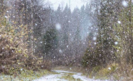 Снег выпадет и на юге Молдовы