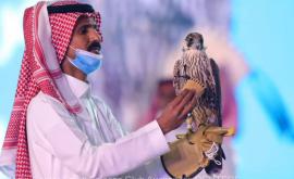 Un şoim din Arabia Saudită vîndut cu 173000 de dolari