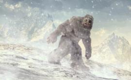 Ученые раскрыли секрет снежного человека