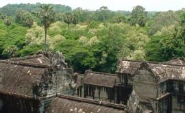 Под джунглями Камбоджи обнаружен древний город 