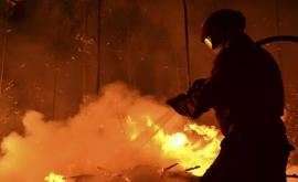 Подробности пожара в Унгенах Огонь унес жизнь грудного ребенка