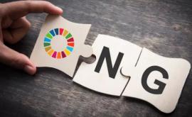 Țîrdea susține că un grup de ONG din Moldova a monopolizat granturile externe