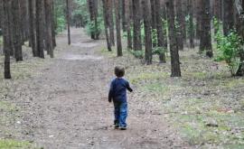 В Хынчештском районе двое детей потерялись в лесу 