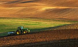 22 de proiecte agricole vor beneficia de finanțare de la stat 