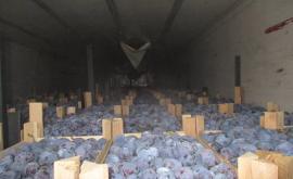 Rusia nu a permis intrarea pe teritoriul său a circa 20 de tone de prune din Moldova