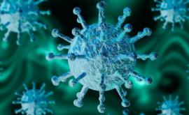 Coronavirus Sistemele medicale din întreaga lume se apropie de colaps