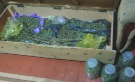 Спецоперация полицейских В Кагуле обнаружены 12 кг наркотиков стоимостью более 1 млн леев
