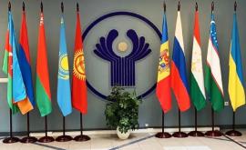 Наблюдатели СНГ продолжают мониторинг выборов президента Молдовы