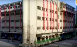 Видео с шагающим зданием стало вирусным в сети в Китае переместили 7600тонную школу