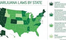 Alte patru state americane legalizează marijuana