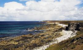Armata britanică a încheiat deminarea insulelor Falkland