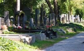 Мусульманские кладбища отказываются хоронить венского террориста