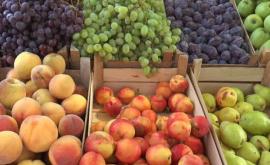 Какой объем фруктов был произведен в 2020 году и сколько было экспортировано