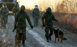 De dezamorsarea Karabahului se vor ocupa militarii ruși cu ajutorul cîinilor de serviciu
