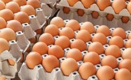 Пандемия заблокировала молдавский экспорт яиц и мяса птицы