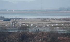 Северная Корея Гимнаст перепрыгнул трехметровый забор
