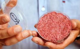 В одной из стран разрешили продажу искусственного мяса