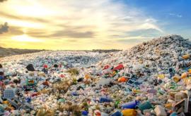 CocaCola și Nestlé se află printre cei mai mari poluatori cu plastic din lume