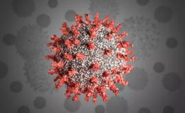 Ședință de urgență a UE după ce noul tip de coronavirus a fost depistat în unele state