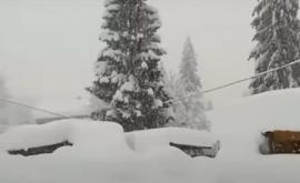 В Италии намело двухметровые сугробы снега