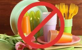 Уточнения ГИП о запрете на использование полиэтиленовой посуды и пакетов