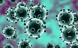Биологи рассказывают о том как меняется коронавирус