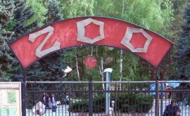 Grădina zoologică din Chişinău se va îmbogăţi cu noi specii de animale