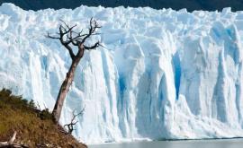 Земле угрожает новый ледниковый период 