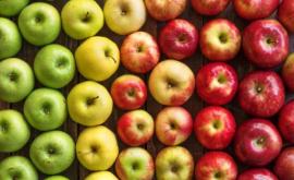 Почему сократился экспорт молдавских яблок