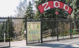 Кишиневский зоопарк пополнился новыми животными