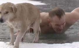 Российский журналист спас собаку которая провалилась под лед