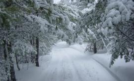 Подросток заблудившийся в снегах Канады выжил благодаря смекалке