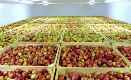 Rusia a interzis importul a peste 20 de tone de mere din Moldova