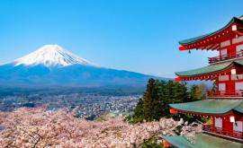 В Японии зарегистрировано самое низкое количество туристов с 1998 года