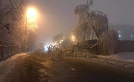 Последствия непогоды в Кишиневе обледеневшие деревья и сломанные ветки