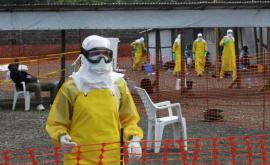 США готовы помочь в борьбе со вспышкой Эболы в Африке