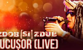 Zdob și Zdub a bucurat fanii cu un noul videoclip de la concert VIDEO