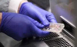 Cercetătorii au dezvoltat o platformă pe baza cipurilor bionice pentru testarea eficacităţii medicamentelor