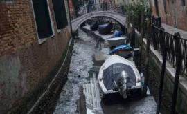 Imagini neobișnuite din Veneția Celebrele canale aproape au rămas fără apă