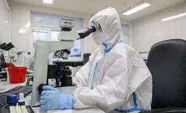 В Австрии выявили случаи заражения бразильским штаммом коронавируса