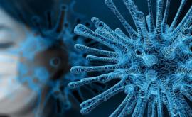 Ученые предупредили о наступлении третьей волны коронавируса