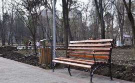 Возобновлены восстановительные работы в парке Алунелул