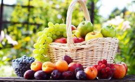 Плодоводы Молдовы просят субсидирования новых сортов фруктов и винограда