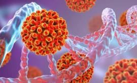 Чем коронавирус отличается от ВИЧ