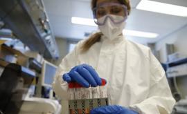 China a cerut OMS să verifice probabilitatea scurgerii coronavirusului dintrun laborator din SUA