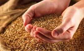 Решение о прекращении экспорта пшеницы опубликовано в Официальном мониторе