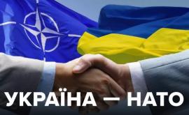 Пентагон отказался комментировать заявления Киева о членстве в НАТО
