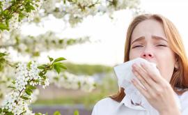 Профилактика и лечение весенней аллергии